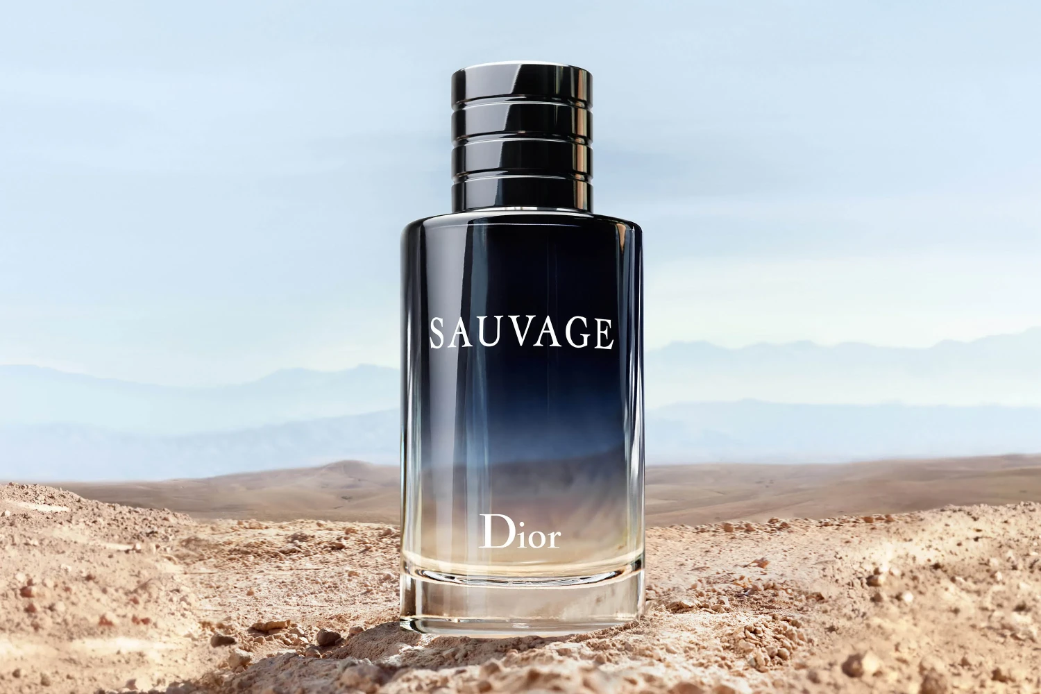Perfume Dior Sauvage Masculino Eau de Parfum